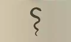 ヘビ