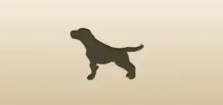 Service Dog silhouette