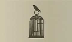 Birdcage silhouette