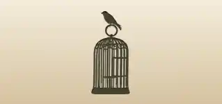 Birdcage silhouette