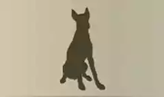 警察犬