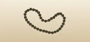 Bead Necklace silhouette