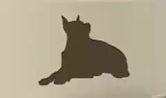 警察犬