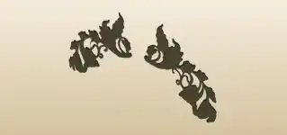 Grapes silhouette