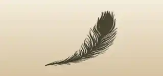 Peacock Feather silhouette