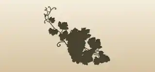 Grapes silhouette