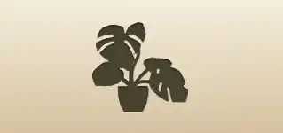 Indoor Monstera silhouette