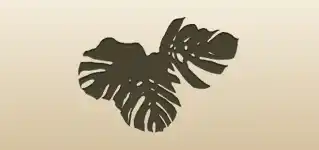Indoor Monstera silhouette