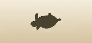 Turtle silhouette