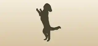 Service Dog silhouette