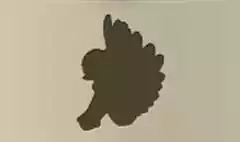 天使
