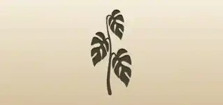 Indoor Monstera silhouette