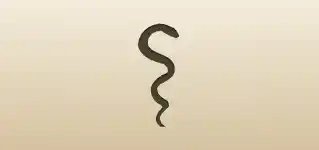 Snake silhouette