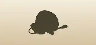 Drawstring Bag silhouette