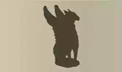 グリフィン