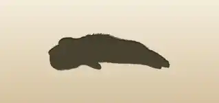 Ferret silhouette