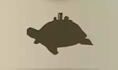 カメ