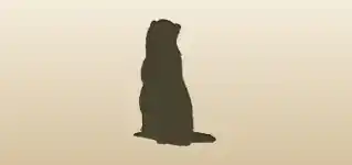 Ferret silhouette
