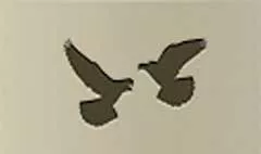 Two Doves silhouette