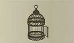 Birdcage silhouette