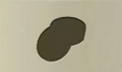 Ring Box silhouette