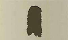 Fur Boa silhouette