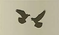 Two Doves silhouette