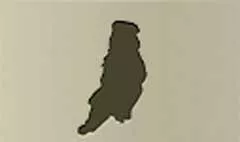 Doll silhouette