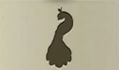 Peacock silhouette