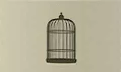 Birdcage silhouette