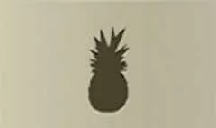 Pineapple silhouette