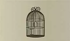 Birdcage silhouette