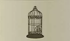 Birdcage silhouette