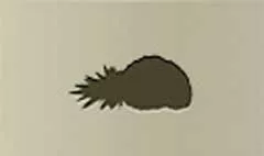 Pineapple silhouette