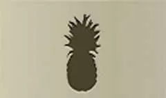 Pineapple silhouette