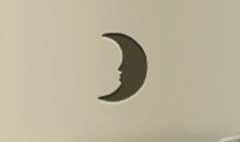 Moon silhouette