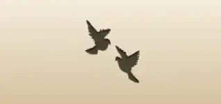 2羽の鳩