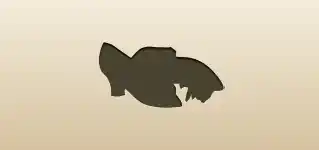 靴