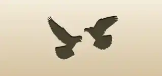 2羽の鳩