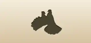 2羽の鳩
