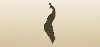 クジャク