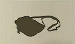 バッグのシルエット