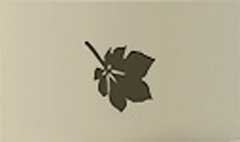 Chestnut Leaf silhouette