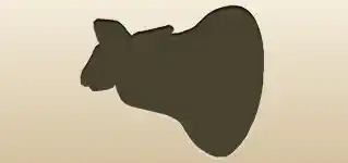Bell