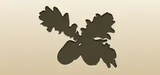 Acorns
