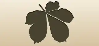 Chestnut Leaf