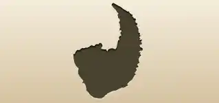 Cornucopia