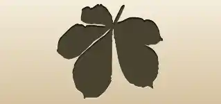 Chestnut Leaf