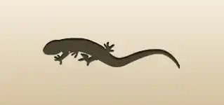 Lizard