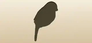 Sparrow